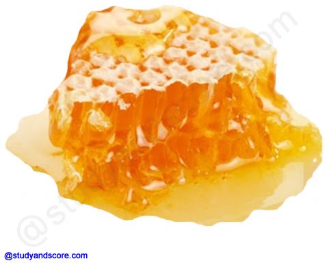 honey, honey comb, products from bee hive, honey bee, commercial production of honey